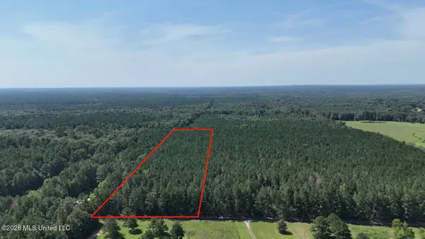 Davis Road, Morton, MS 39117