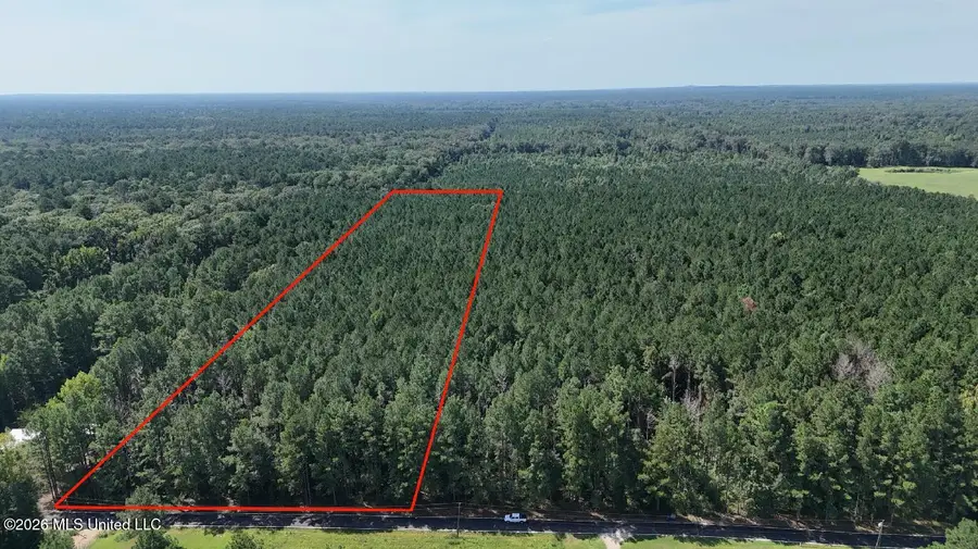 Davis Road, Morton, MS 39117 - #2