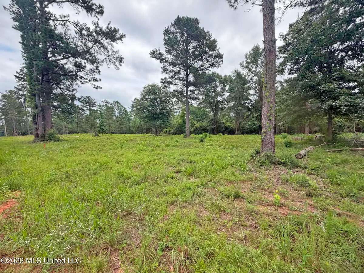 N Old 63 N Highway, Lucedale, MS 39452 - #1