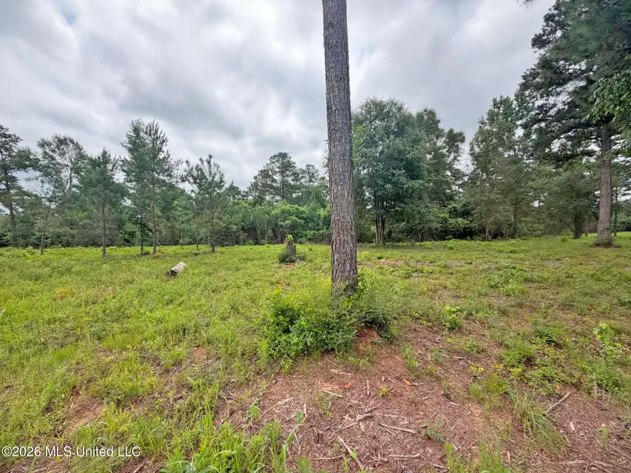 N Old 63 N Highway, Lucedale, MS 39452 - #2