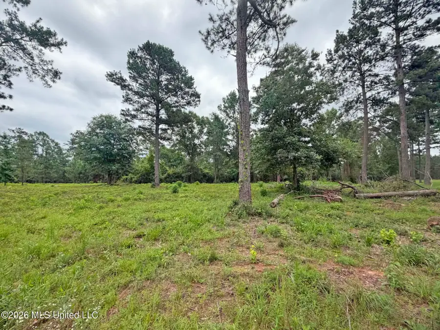 N Old 63 N Highway, Lucedale, MS 39452 - #3