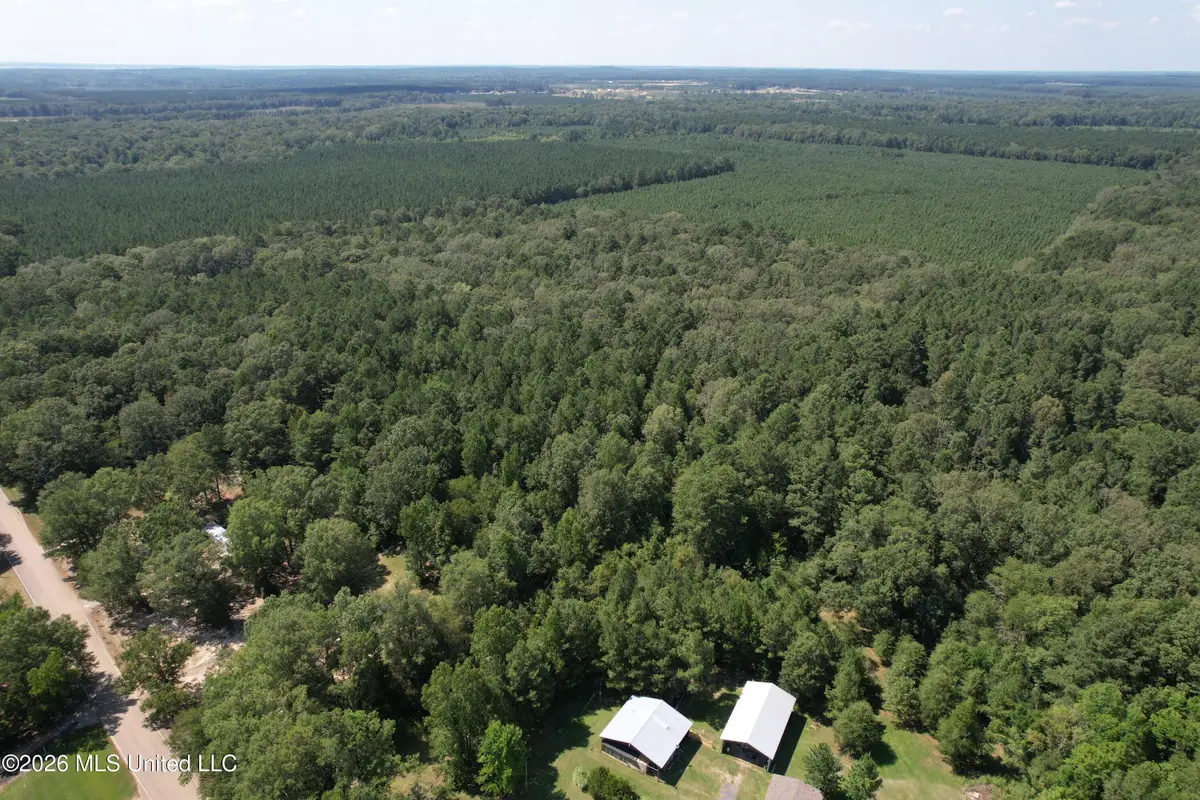 Holly Bush, Pelahatchie, MS 39145 - #1