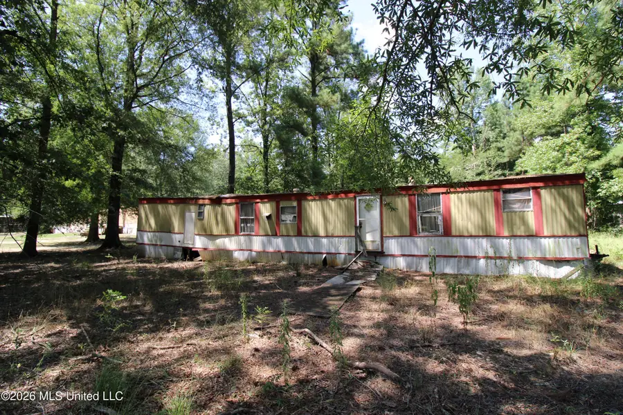 Holly Bush, Pelahatchie, MS 39145 - #2