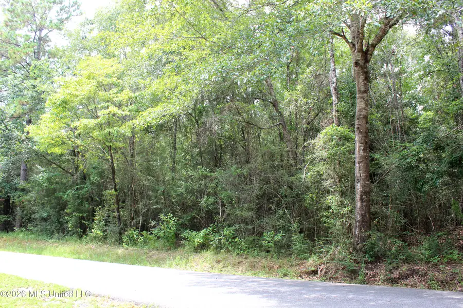 Moddie K Road, Lucedale, MS 39452 - #2