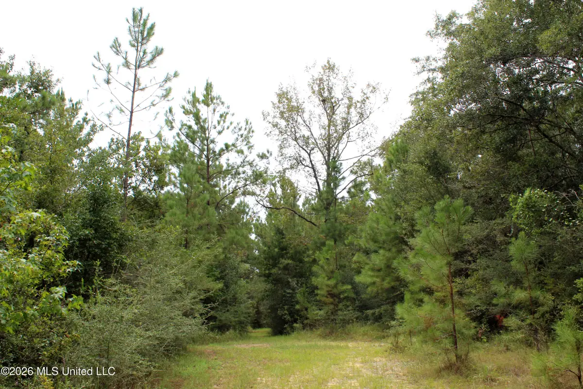 John Kelly Road, Lucedale, MS 39452 - #1