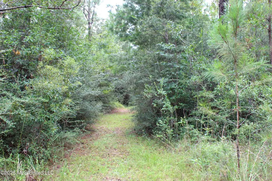 John Kelly Road, Lucedale, MS 39452 - #2
