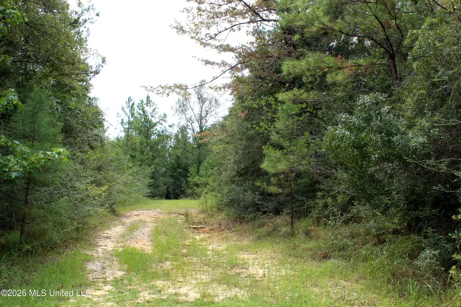 John Kelly Road, Lucedale, MS 39452 - #3