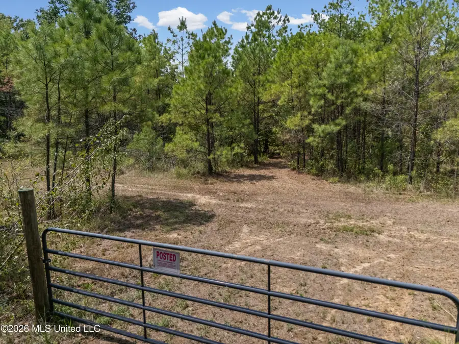 Brownlee Road, Sarah, MS 38665 - #2