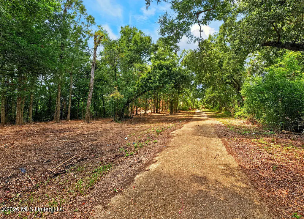 Bellview Avenue, Moss Point, MS 39563 - #1
