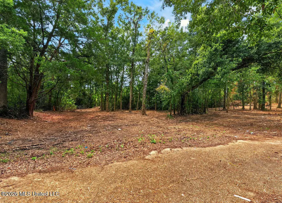 Bellview Avenue, Moss Point, MS 39563 - #3