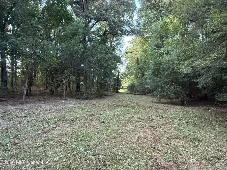 N Jordan Street, Carthage, MS 39051 - #2