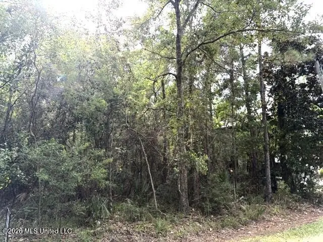 Clarence Avenue, Pass Christian, MS 39571 - #3