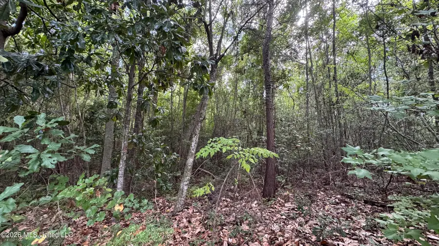 Oyster Shell (lot 24) Avenue, Ocean Springs, MS 39564 - #2