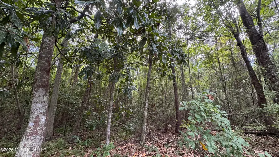 Oyster Shell (lot 24) Avenue, Ocean Springs, MS 39564 - #3