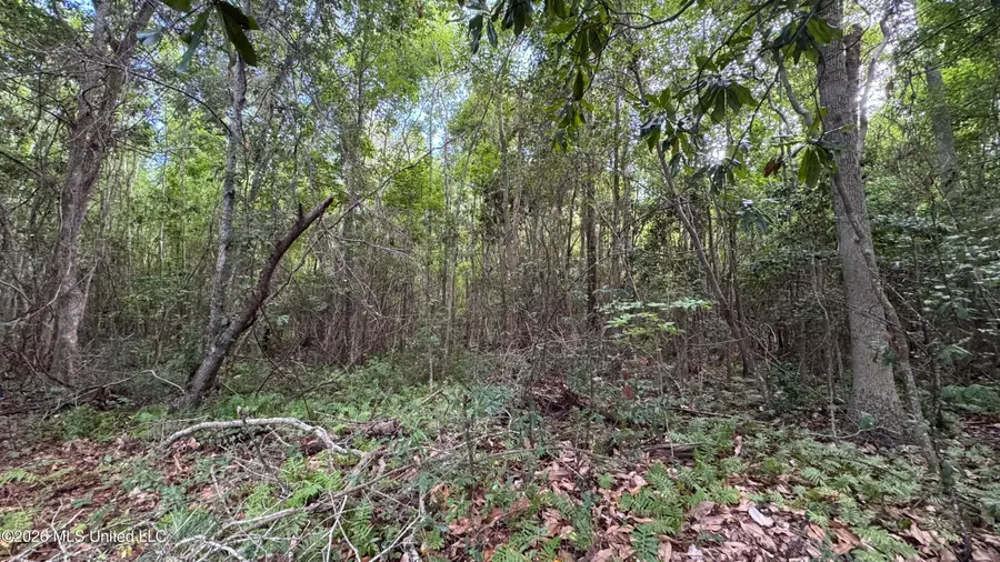 Oyster Shell Avenue, Ocean Springs, MS 39564 - #3