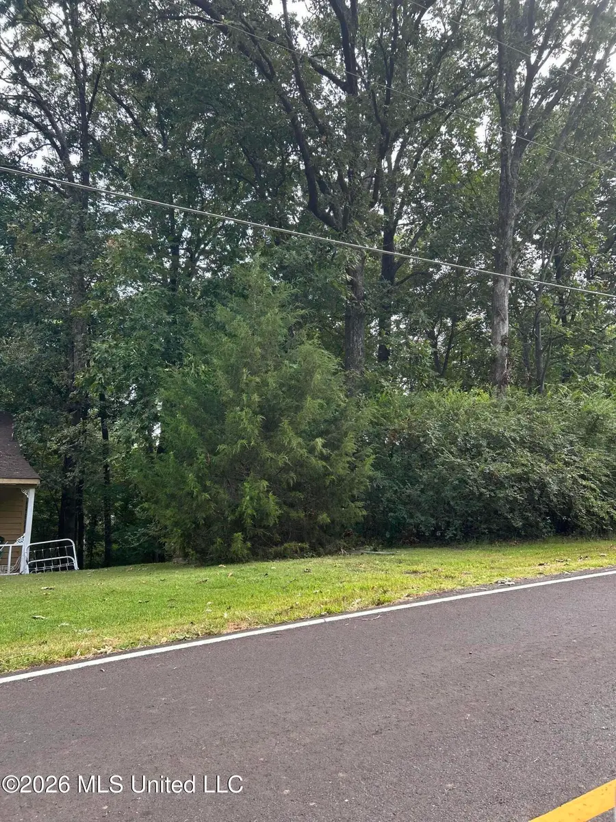 776 Black Hawk Drive, Hernando, MS 38632 - #2