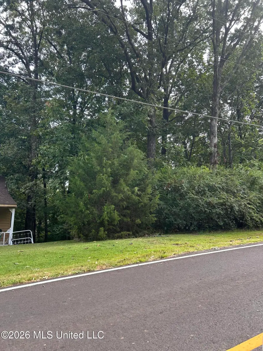 776 Black Hawk Drive, Hernando, MS 38632 - #3