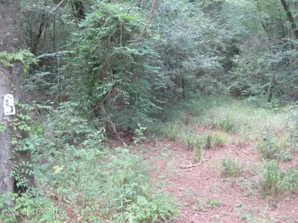 0000 N Joe Dyess Road, Carson, MS 39427