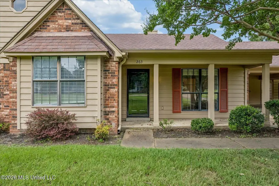 263 Nonconnah Drive, Byhalia, MS 38611 - #3