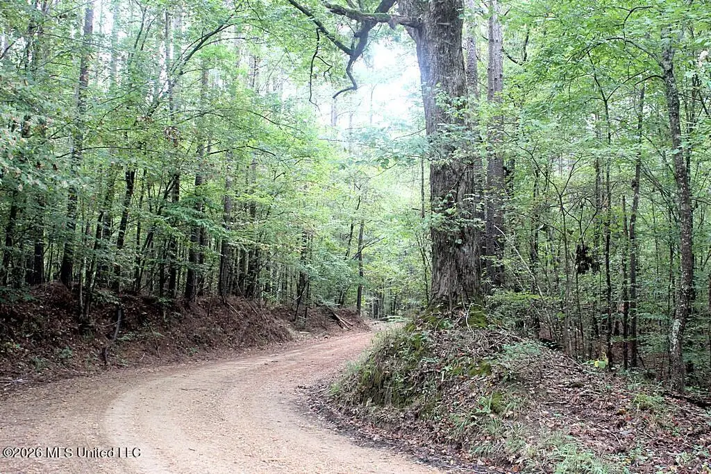 John Chambers Road, Roxie, MS 39661 - #1