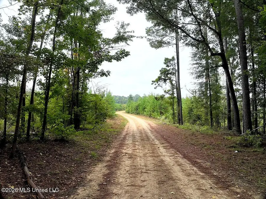 John Chambers Road, Roxie, MS 39661 - #2