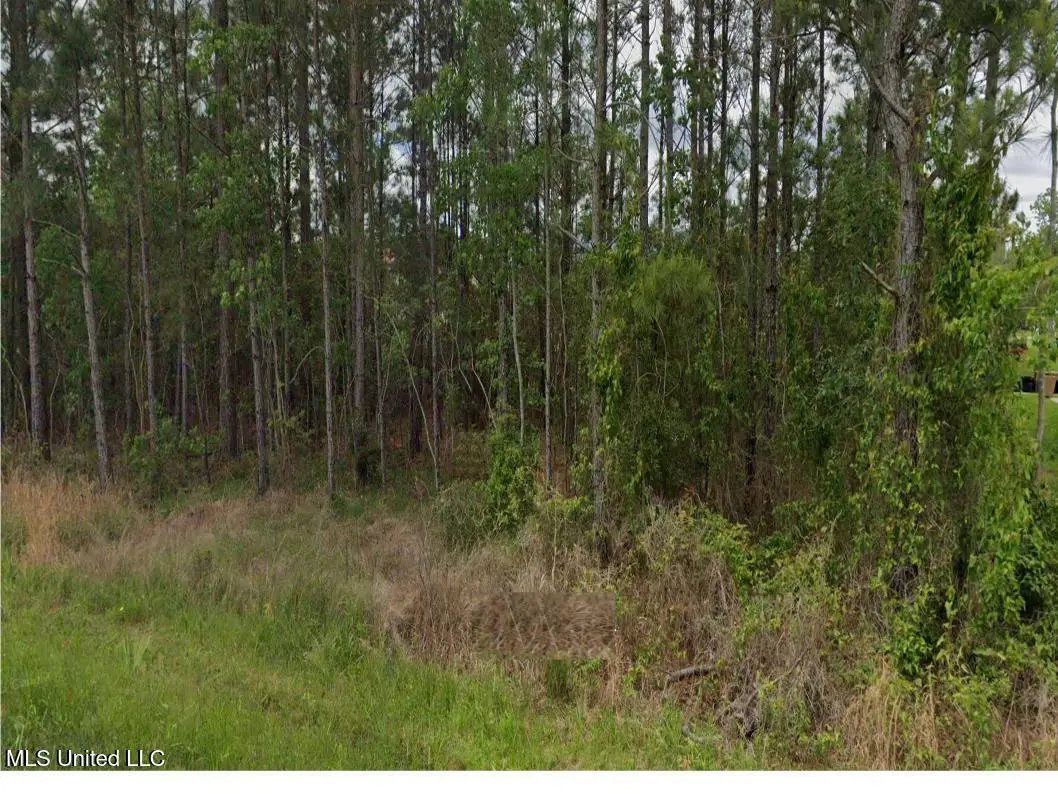 Lark Street, Bay Saint Louis, MS 39520 - #1