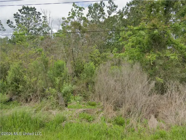 10051 W Bayou View Drive, Bay Saint Louis, MS 39520
