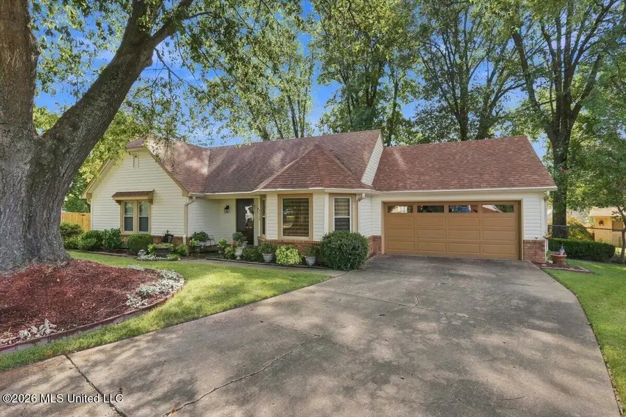 7340 Cedardale Cove, Olive Branch, MS 38654 - #2