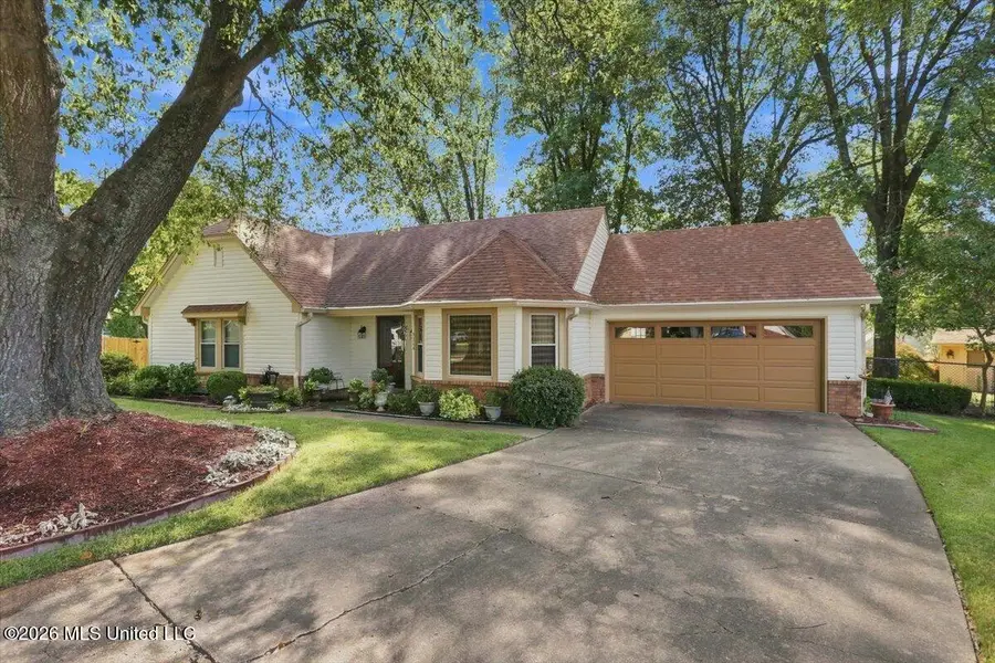 7340 Cedardale Cove, Olive Branch, MS 38654 - #3