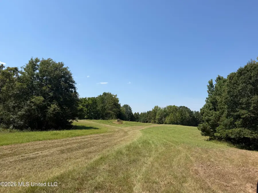 390 Springfield Road, Senatobia, MS 38668 - #3