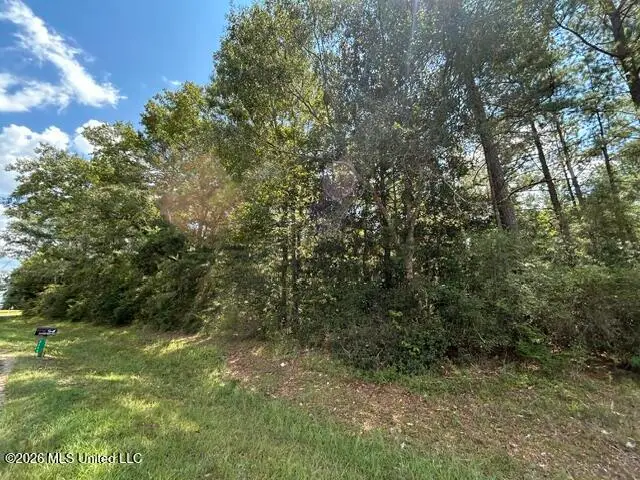 Carter Lane, Summit, MS 39666 - #2