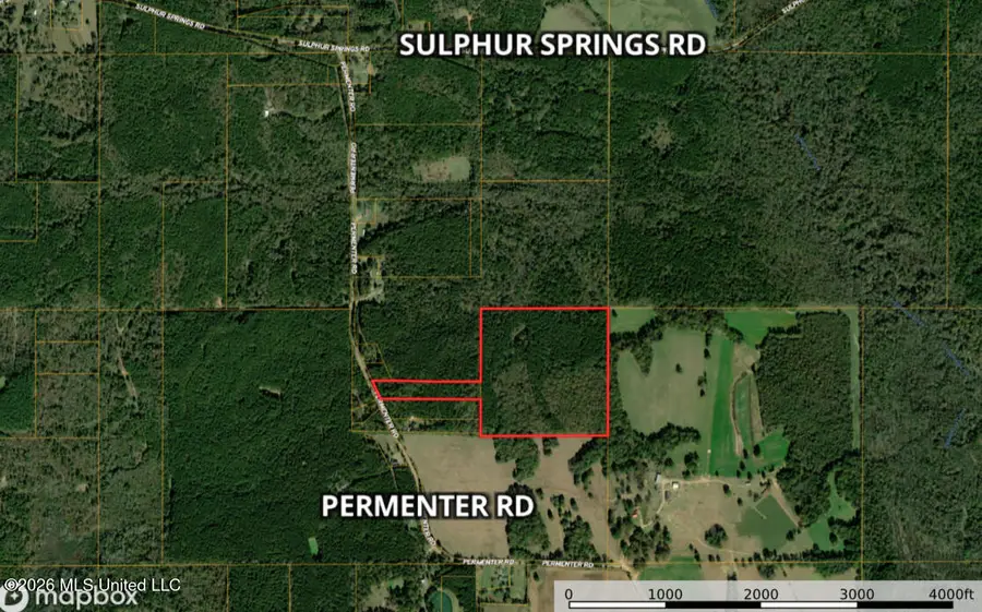 Permenter Road, Carthage, MS 39051 - #2
