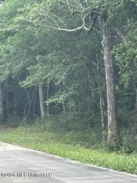 26063 Elm Road, Pass Christian, MS 39571
