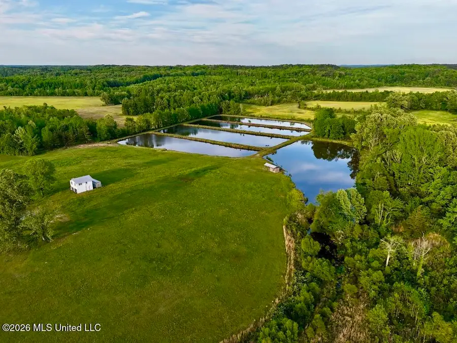 00001 County Road 204, Tiplersville, MS 38674 - #2