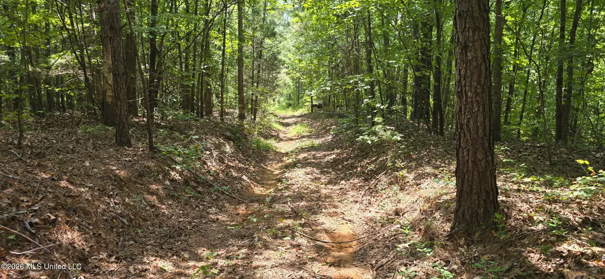 4190 Tuscumbia Road, Blue Springs, MS 38828 - #1