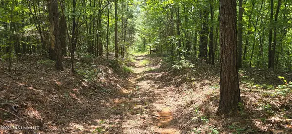 4190 Tuscumbia Road, Blue Springs, MS 38828