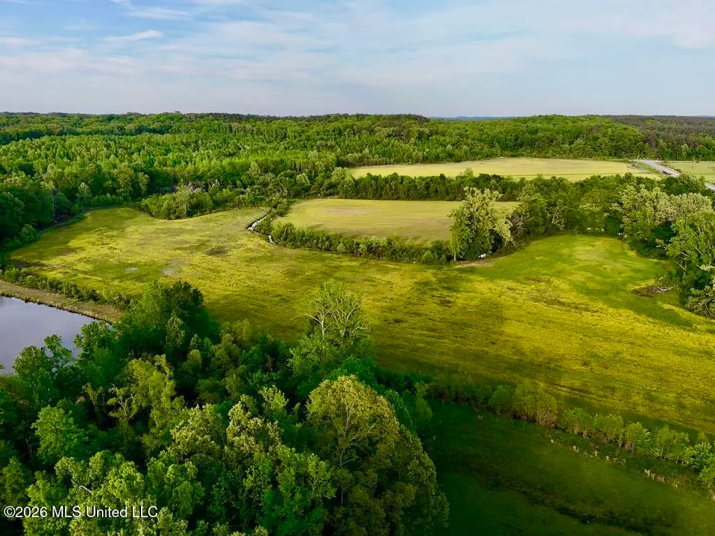 00002 County Road 204, Tiplersville, MS 38674 - #1