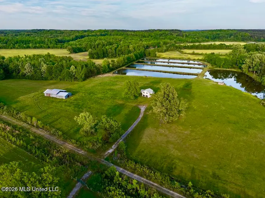 00002 County Road 204, Tiplersville, MS 38674 - #3