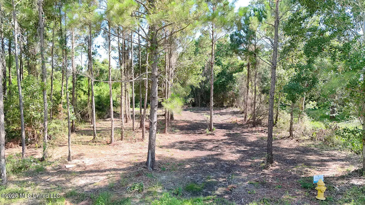 11 Walthall Street, Pass Christian, MS 39571 - #1