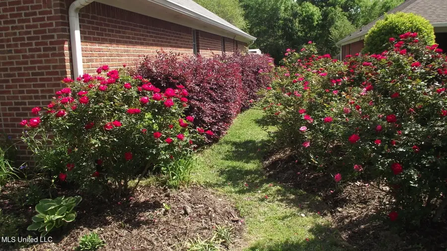 525 Chelsea Way, Madison, MS 39110 - #2