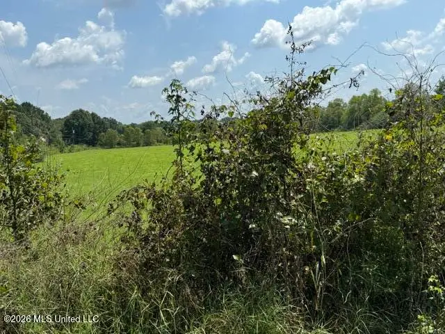 0 Tallabogue Road, Forest, MS 39074 - #3
