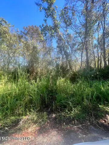 Cochran Avenue, Moss Point, MS 39562 - #2