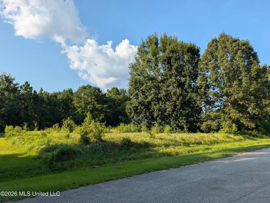 2384 Coelho Way, Diamondhead, MS 39525 - #3