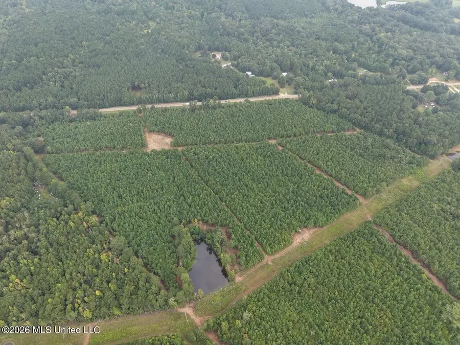 11852 Hwy 24, Centreville, MS 39631 - #2