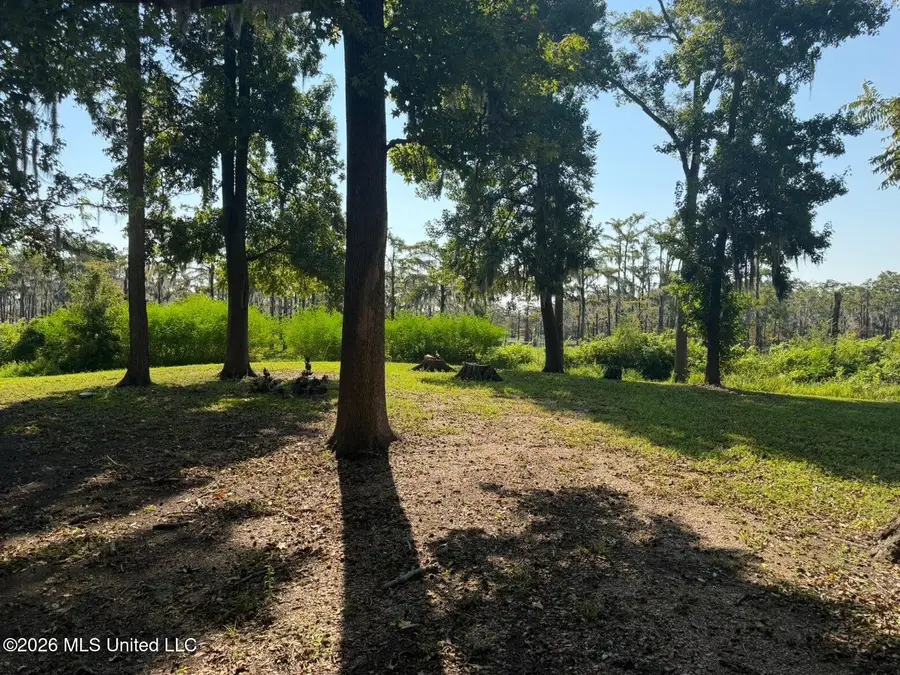 Lake Mary Road, Woodville, MS 39669 - #2