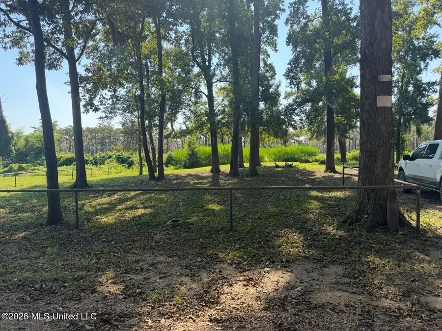 Lake Mary Road, Woodville, MS 39669 - #3