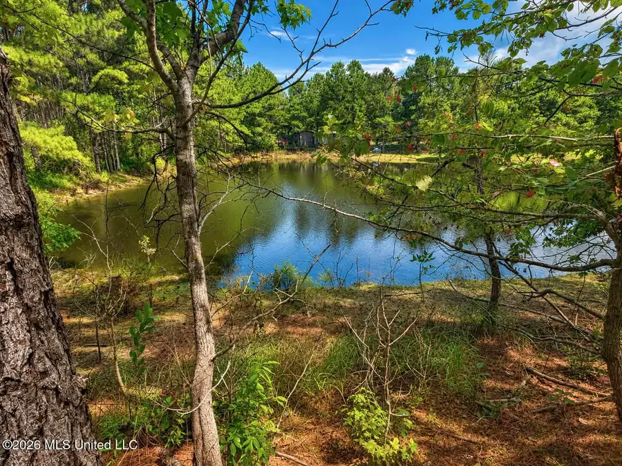 143 Pre Eddy Road, Lucedale, MS 39452 - #2