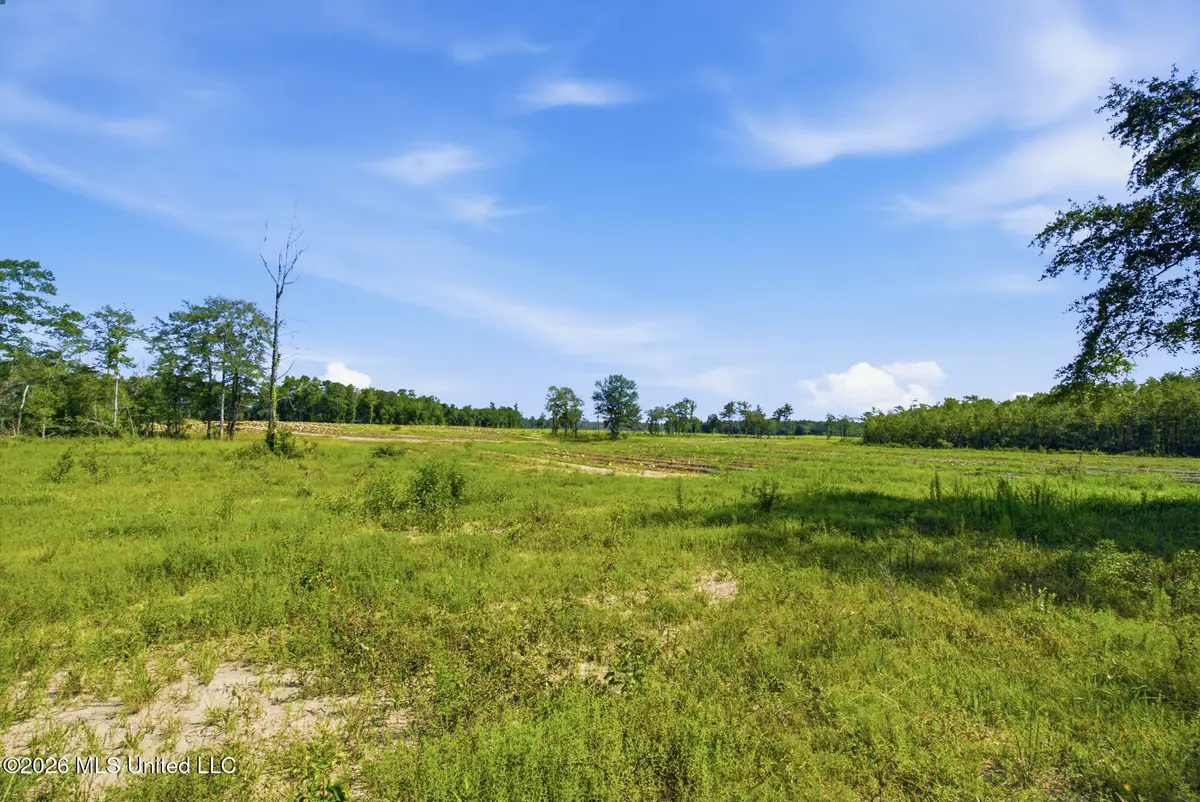 165.44 Ac Baxter Avenue, Lucedale, MS 39452 - #1