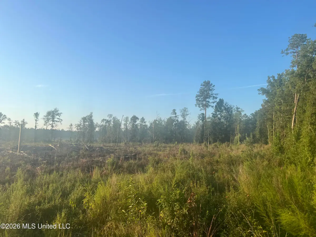 Vernal River Rd, Lucedale, MS 39452 - #1