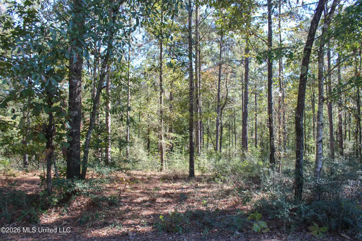 Marshal Place, Petal, MS 39465 - #1